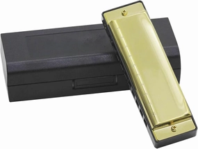 10 Holes 20 G Tone Harmonica With Case Adults Beginners Musical Gift(Gold)