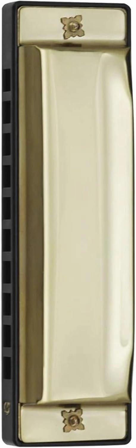 10 Holes 20 G Tone Harmonica With Case Adults Beginners Musical Gift(Gold)