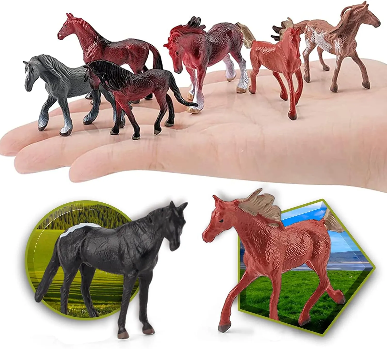 12PCS Realstic Mini Horse Figurines Toy Palyset Arabian Horse Hannover Horse Morgan Stallion Solid Steed Model Set Early Educational Cognitive Toy for Kids
