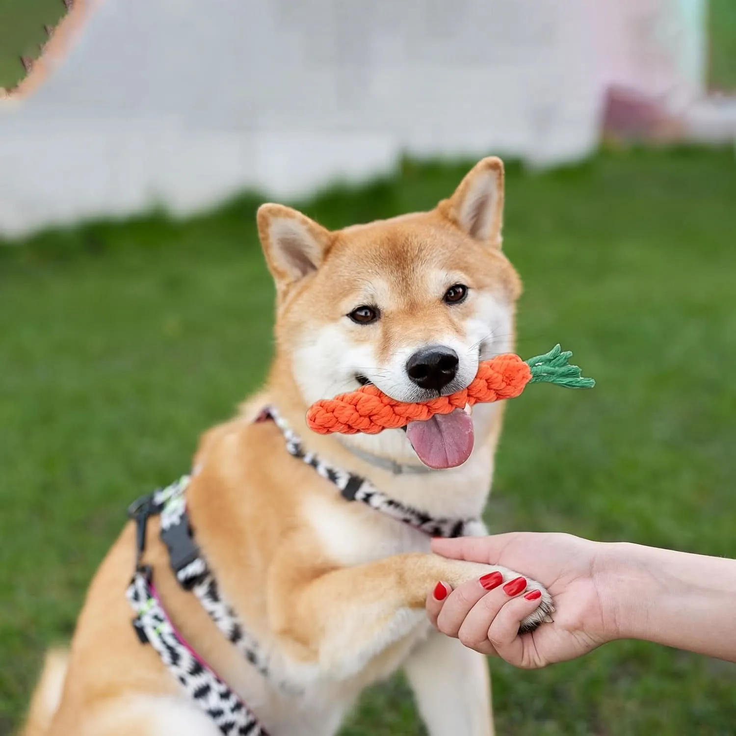 1pc Durable Carrot-Shaped Dog Rope Toy