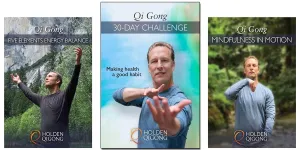 3-DVD Set - Qi Gong 30-Day Challenge 3-DVDs by Lee Holden (YMAA) MIRROR-VIEW Qigong DVD SALE Bundle **BESTSELLER**