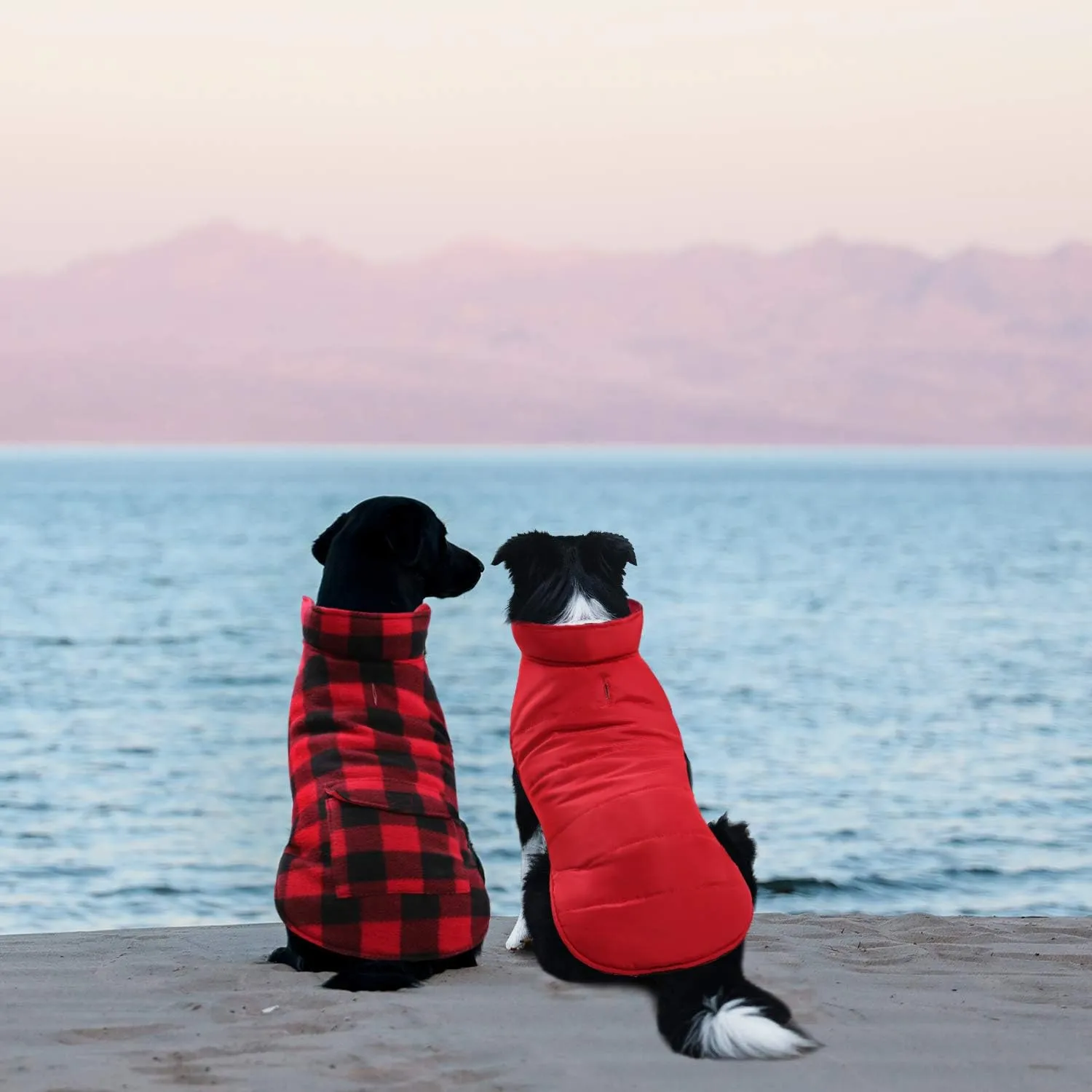 ASENKU Plaid Winter Coat, Fleece Jacket Reversible Vest Waterproof Windproof Cold Weather Clothes Pet Apparel for Small Medium Large Dogs Red M