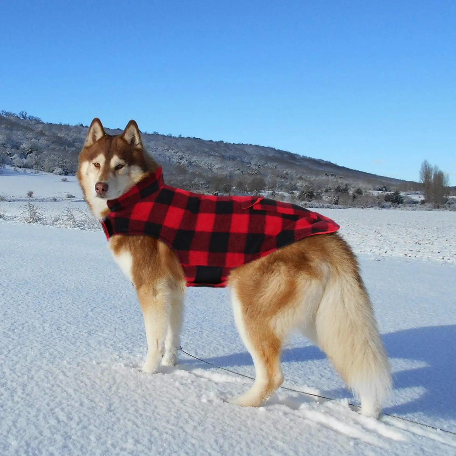 ASENKU Plaid Winter Coat, Fleece Jacket Reversible Vest Waterproof Windproof Cold Weather Clothes Pet Apparel for Small Medium Large Dogs Red M