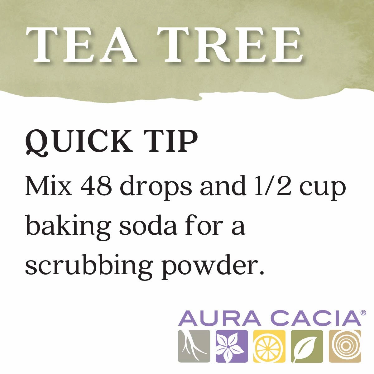 Aura Cacia 100% Pure Tea Tree Essential Oil, 100% Pure Therapeutic Grade, 15 ml in Box, Melaleuca alternifolia