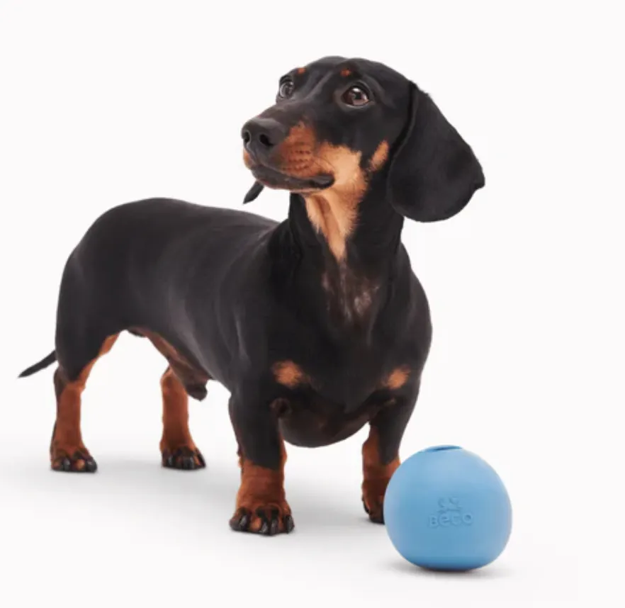 Beco Wobble Ball
