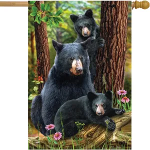Black Bear Family Nature Everyday House Flag 40" x 28" Briarwood Lane
