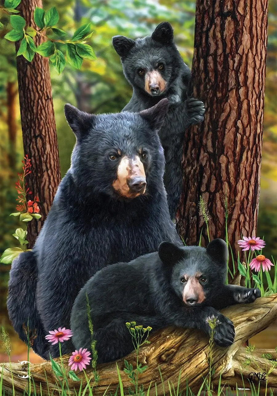 Black Bear Family Nature Everyday House Flag 40" x 28" Briarwood Lane