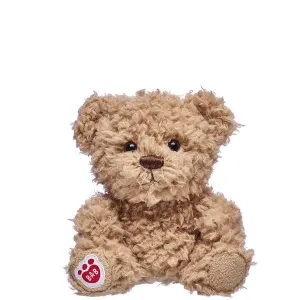 Build-A-Bear Buddies Timeless Teddy