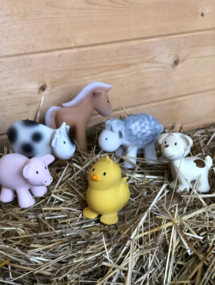 CHICK - NATURAL RUBBER RATTLE & BATH TOY