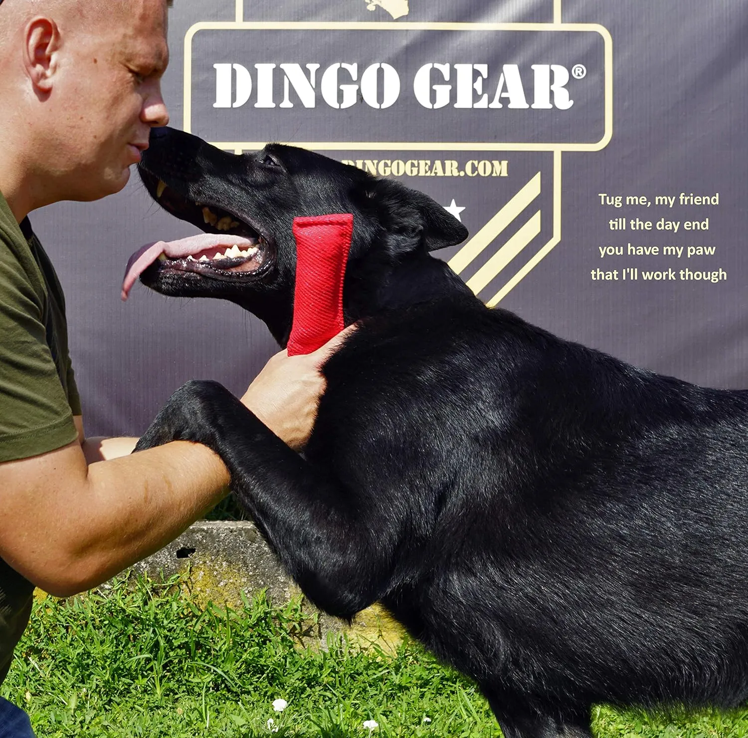 Dingo Gear French Linen tug Toy for Dog, Dog Bumper for Training, Agility, tug of war, Dog bite Pillow for Strong Dog, 1handle 6" Black S00072
