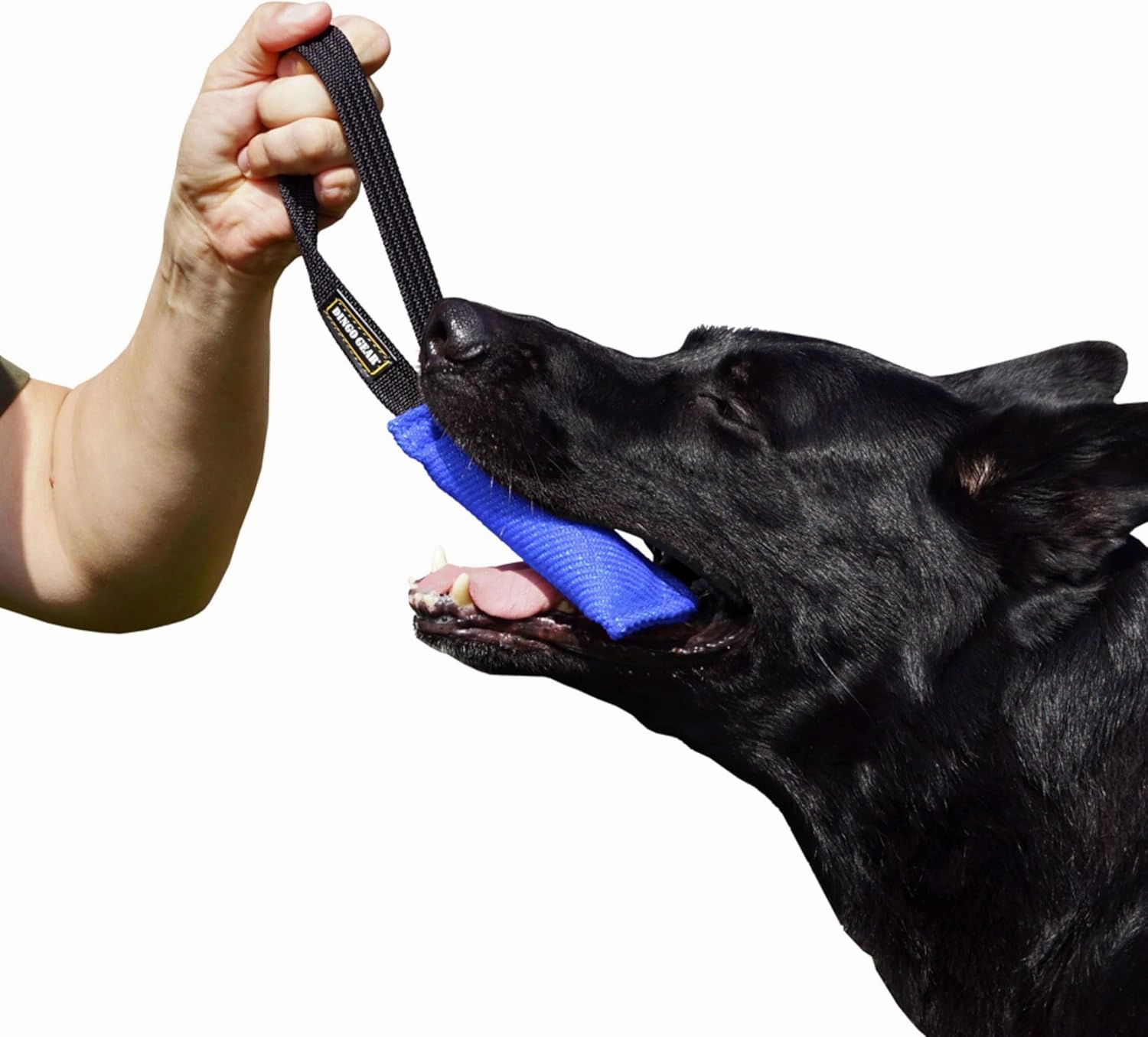 Dingo Gear French Linen tug Toy for Dog, Dog Bumper for Training, Agility, tug of war, Dog bite Pillow for Strong Dog, 1handle 6" Blue S00060