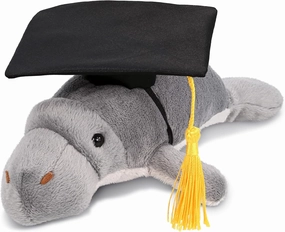DolliBu Grey Manatee Graduation Plush Toy - Wild Collection Plush Graduation Stuffed Animal Dress Up with Graduation Cap Outfit - Graduation Gift – 9 Inches
