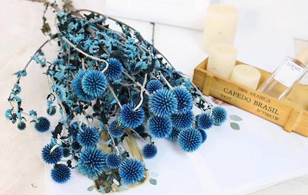 Dried Echinops, Royal Blue Natural Thistle Preserved Flowers, 20 Balls Blue Planet Echinops Globe Flower for Wedding Boho Party Home Decor, DIY Floral Arrangements