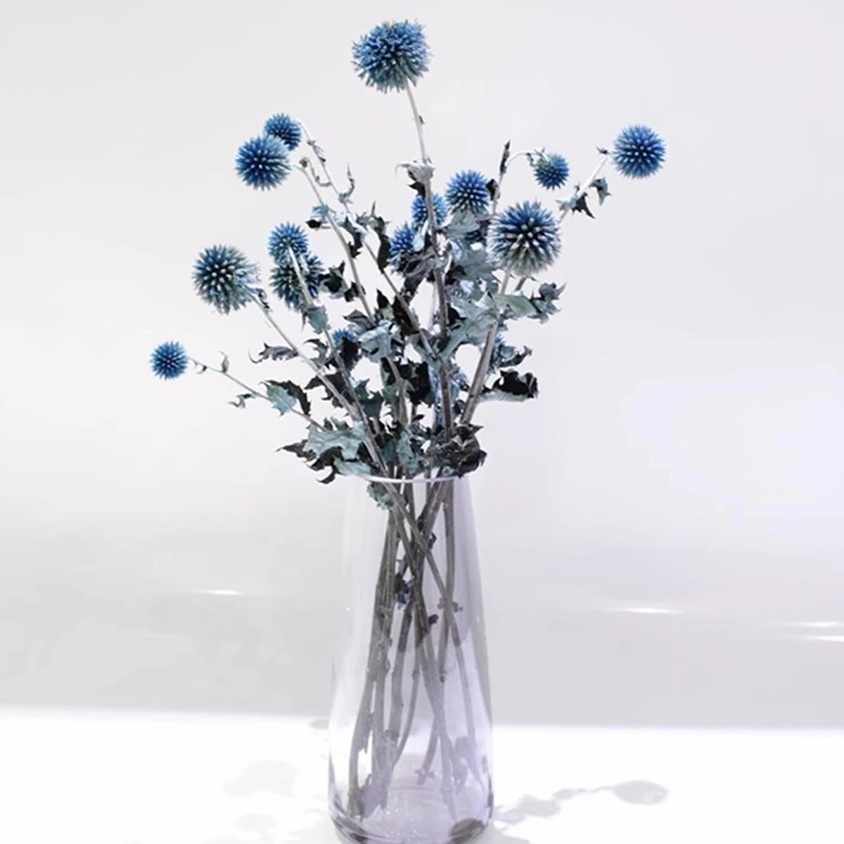 Dried Echinops, Royal Blue Natural Thistle Preserved Flowers, 20 Balls Blue Planet Echinops Globe Flower for Wedding Boho Party Home Decor, DIY Floral Arrangements