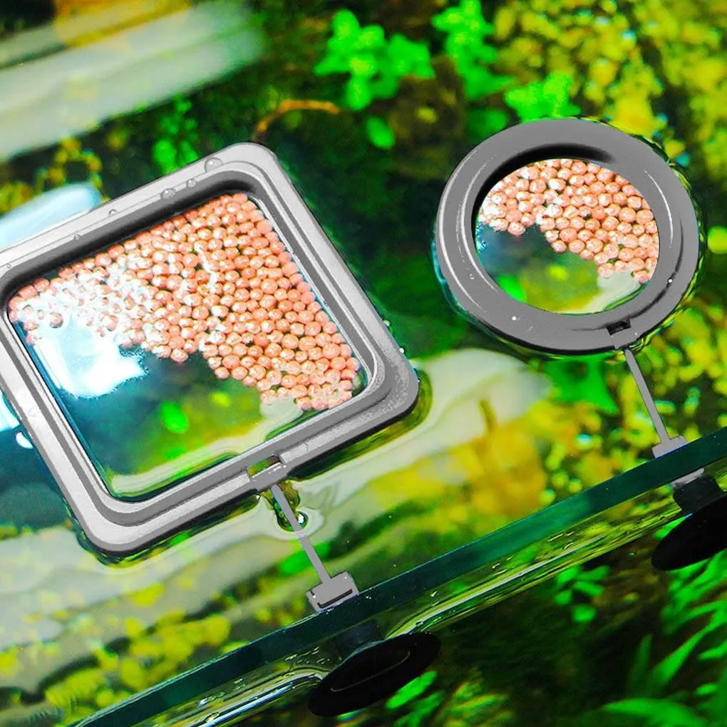 Floating Fish Feeder Tray - Creative Aquarium Accessory