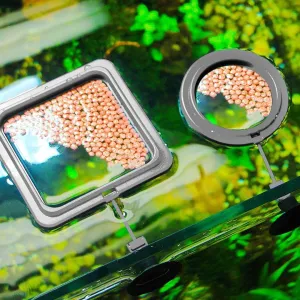 Floating Fish Feeder Tray - Creative Aquarium Accessory