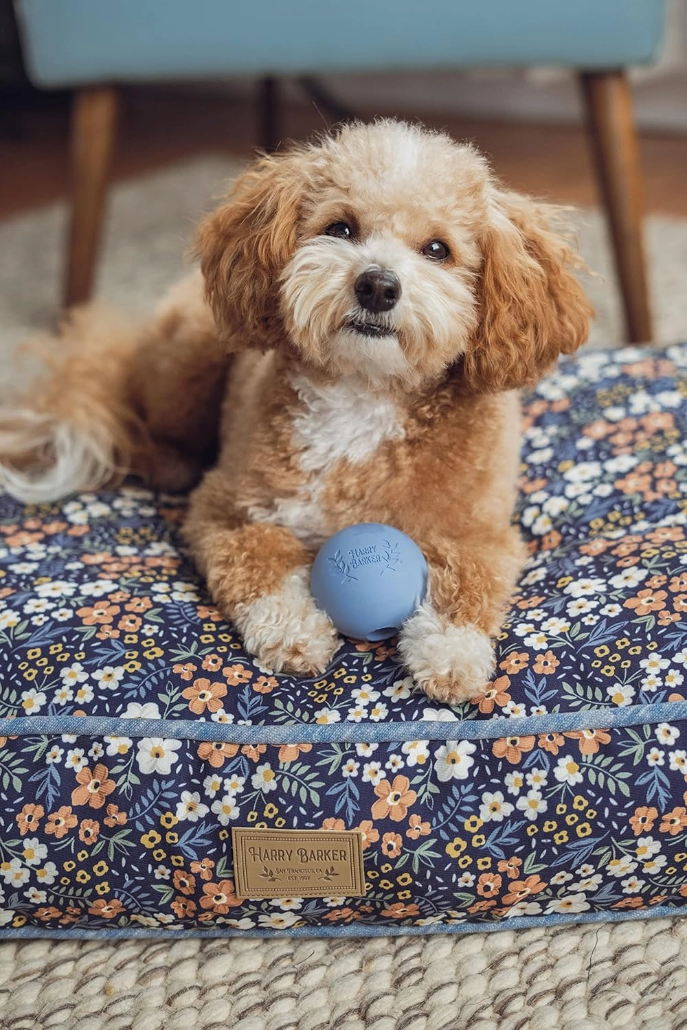 Harry Barker Rubber Balls and Rubber Chew Stick, Rubber Bone for Dogs - 2.5" Rubber Balls - 6 Pack
