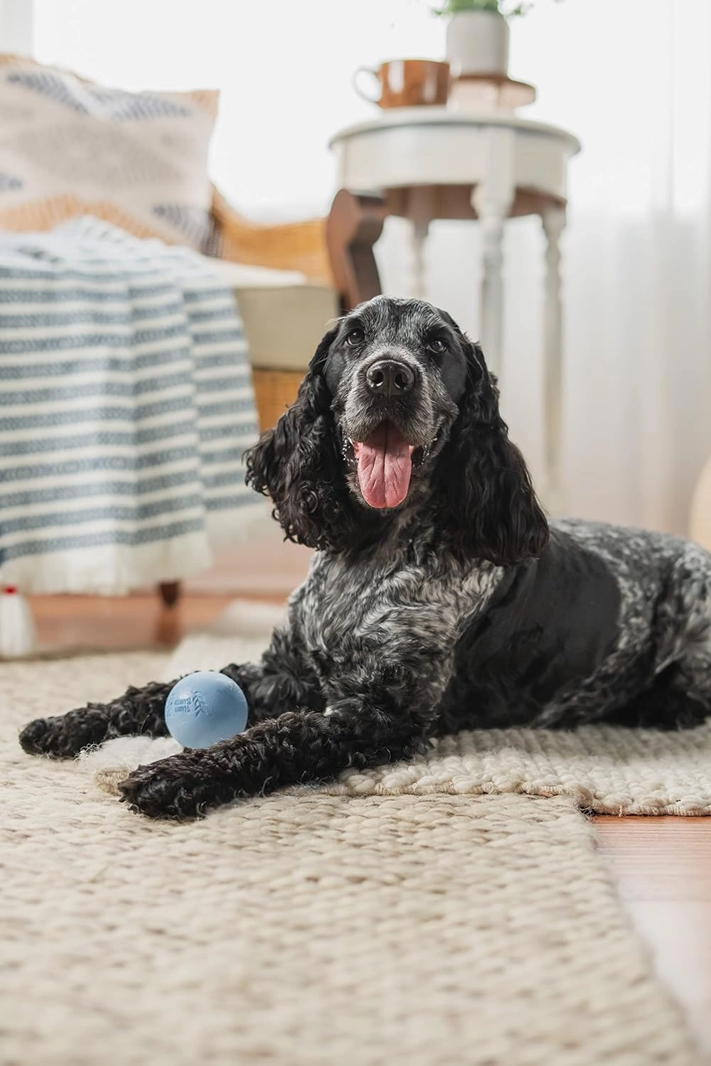 Harry Barker Rubber Balls and Rubber Chew Stick, Rubber Bone for Dogs - 2.5" Rubber Balls - 6 Pack