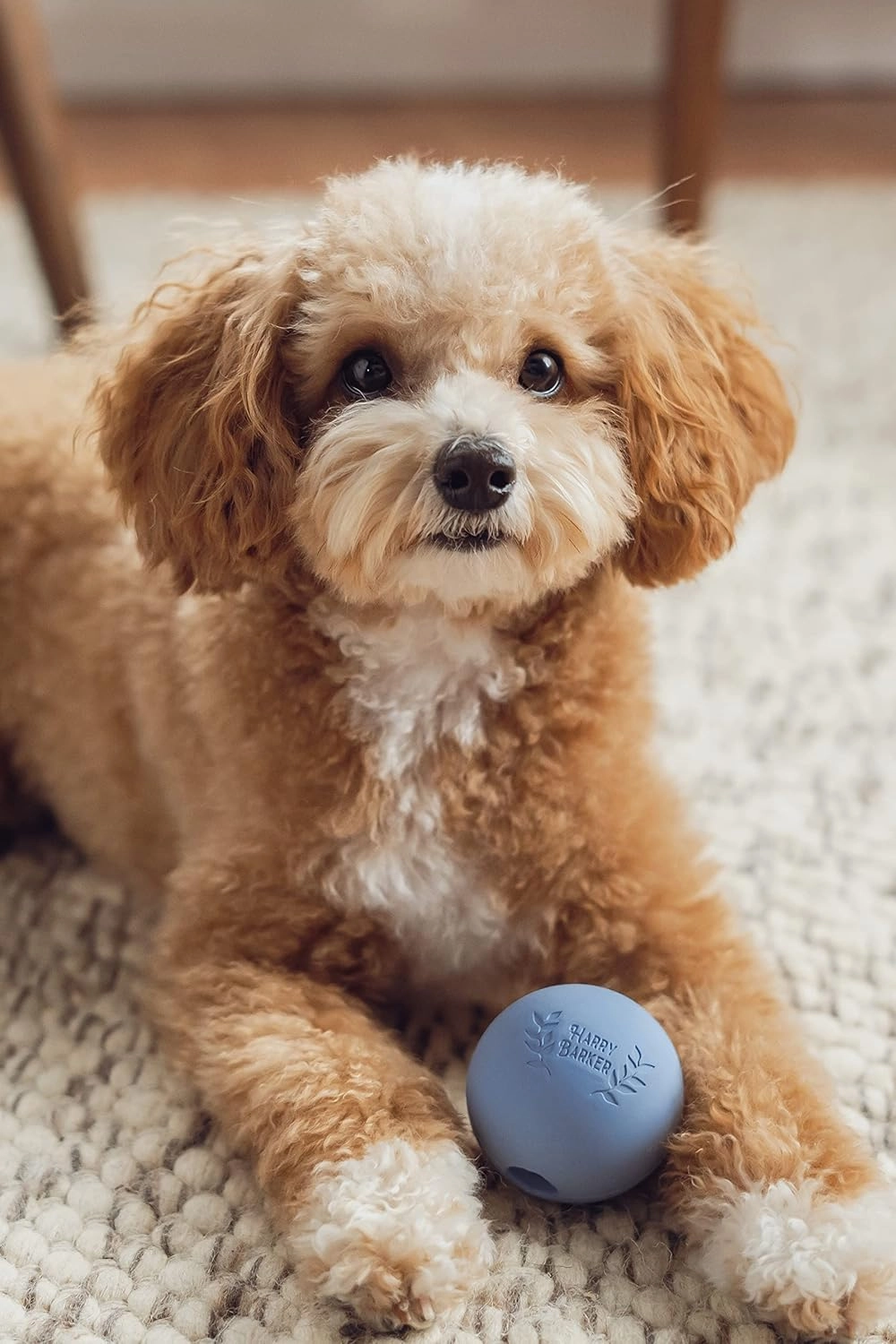 Harry Barker Rubber Balls and Rubber Chew Stick, Rubber Bone for Dogs - 2.5" Rubber Balls - 6 Pack