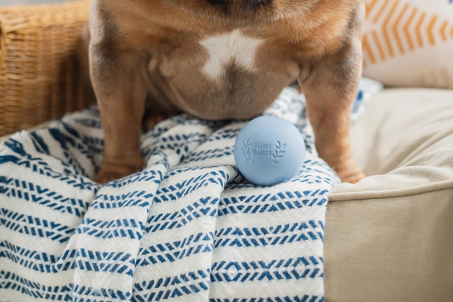 Harry Barker Rubber Balls and Rubber Chew Stick, Rubber Bone for Dogs - 2.5" Rubber Balls - 6 Pack