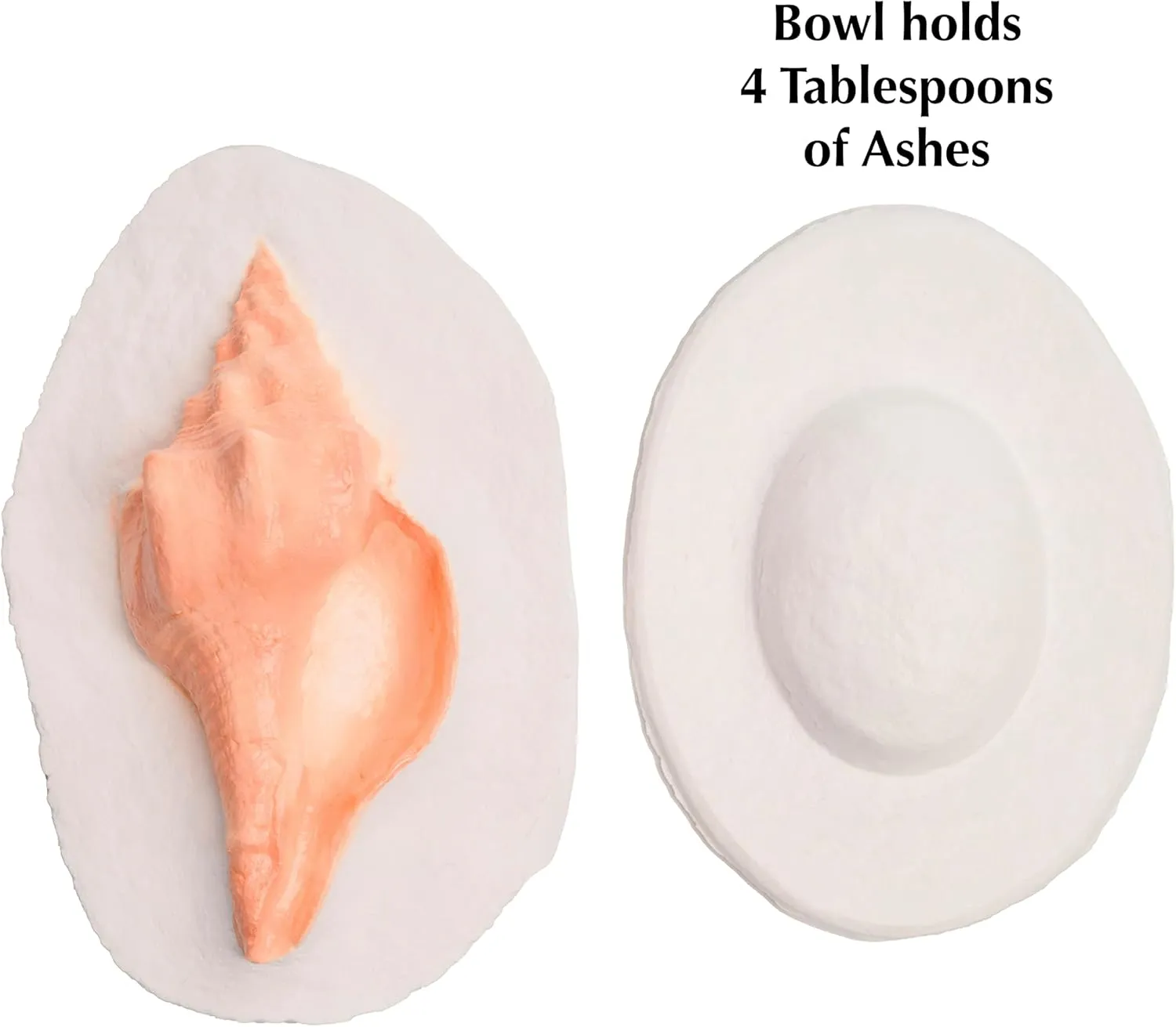 Keepsake Elite ShellY-03 Biodegradable Urn for Human Ashes - Floats in Water, Ocean Scattering Urn for Cremation, Earth Memorial
