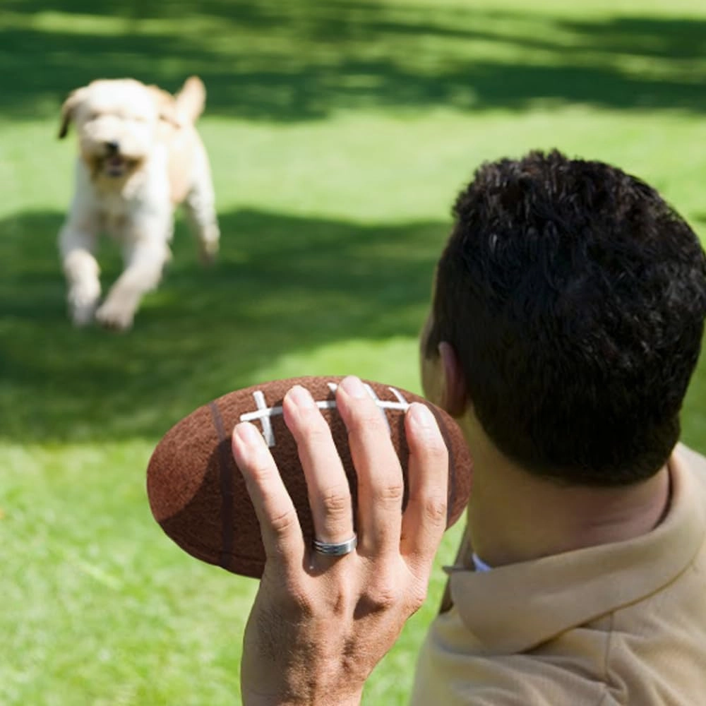 Littlearth NFL Tough Chewer Pet Balls