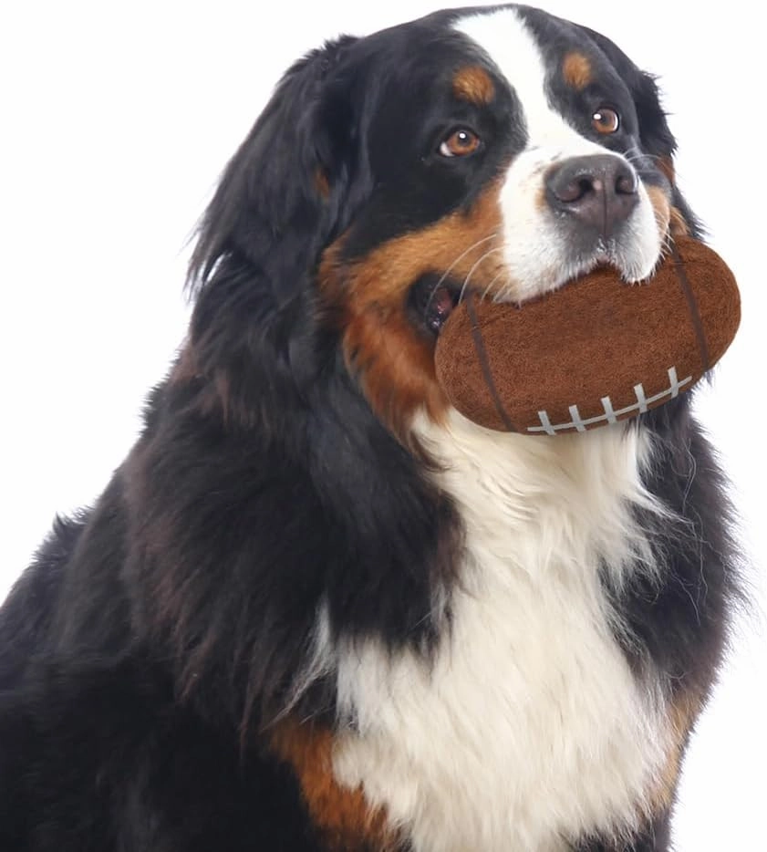 Littlearth NFL Tough Chewer Pet Balls