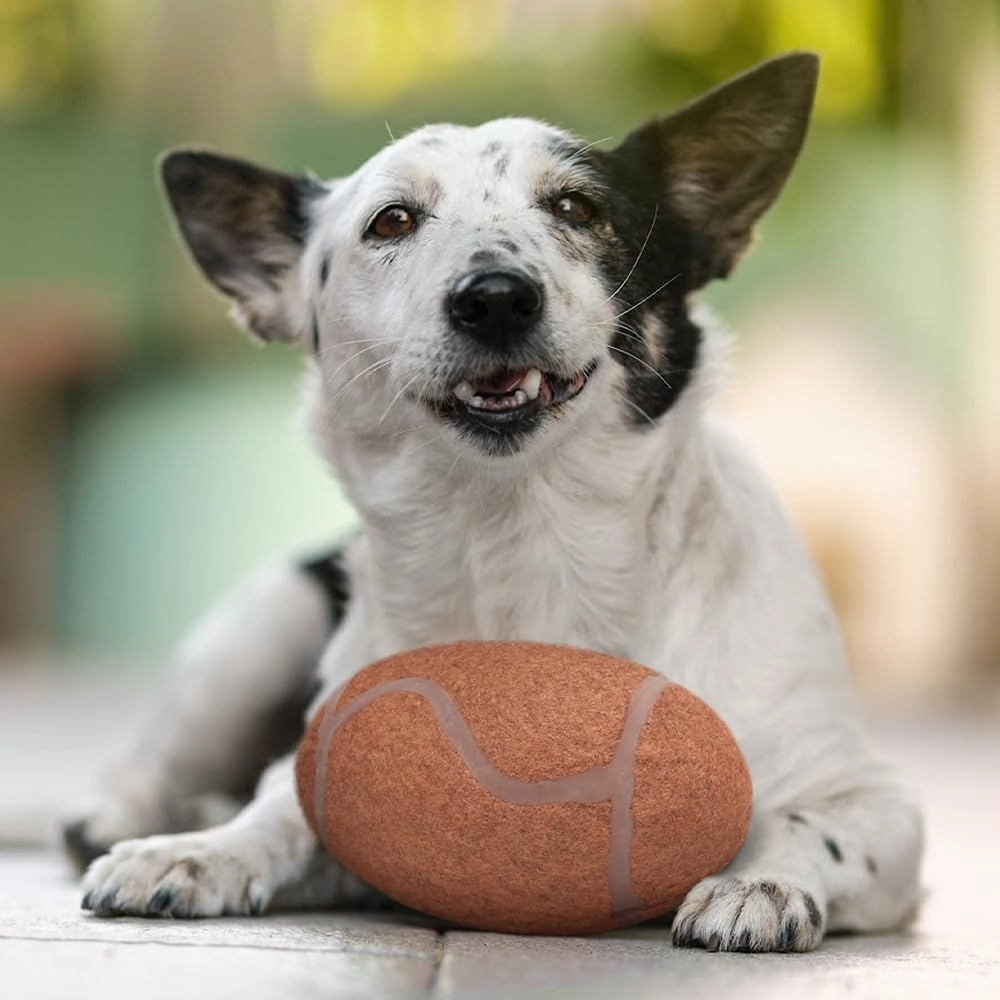 Littlearth NFL Tough Chewer Pet Balls