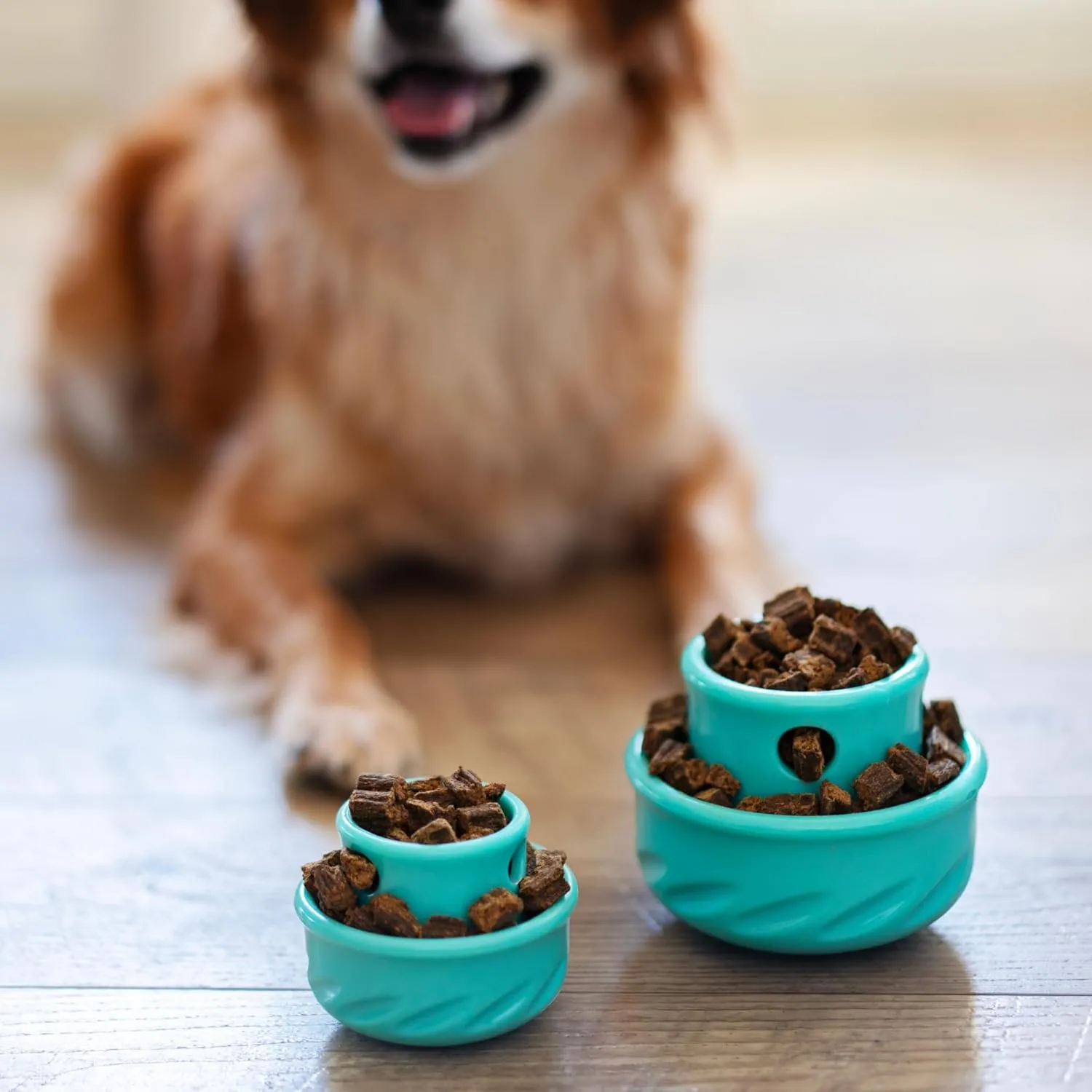 Messy Mutts Totally Pooched Puzzle 'n Play Mushroom (Small) | Interactive Treat Puzzle Toy for Dogs | Durable 3.25”” x 2.5” TPR Dog Toy | Teal