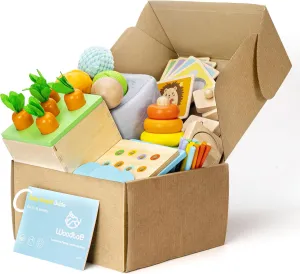 Montessori Toys for 1  Year Old, Wooden Baby Learning Toys, Object Permanence Box, Color Sorting Sensory Toy, Toddler Fine Motor Skills Game, Educational Birthday Gifts for Boy Girl Growth