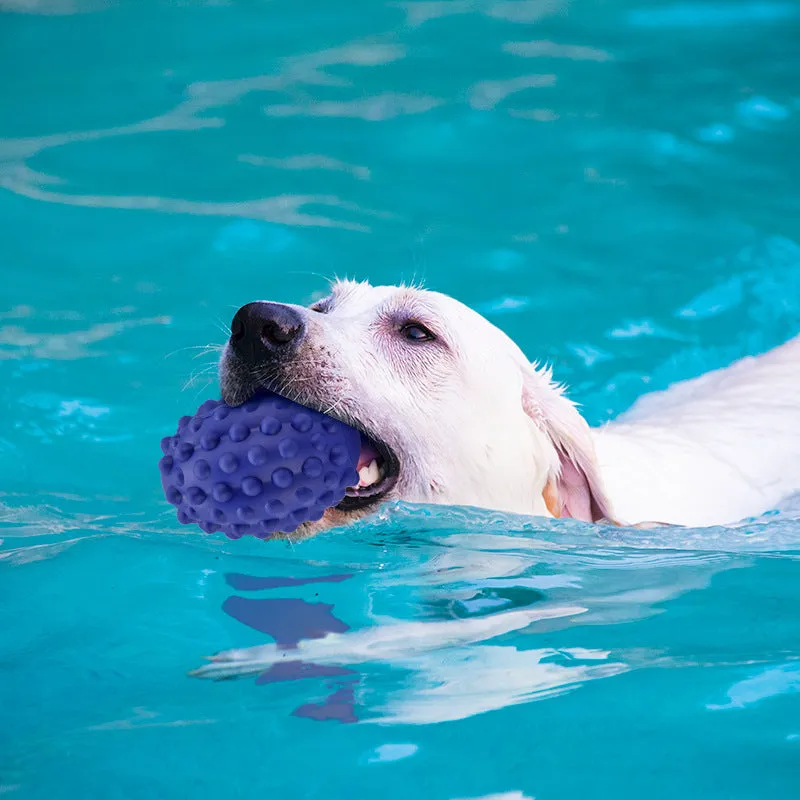 Natural Rubber Bite-Resistant Rugby Toy for Dogs – Teeth Grinding & Cleaning