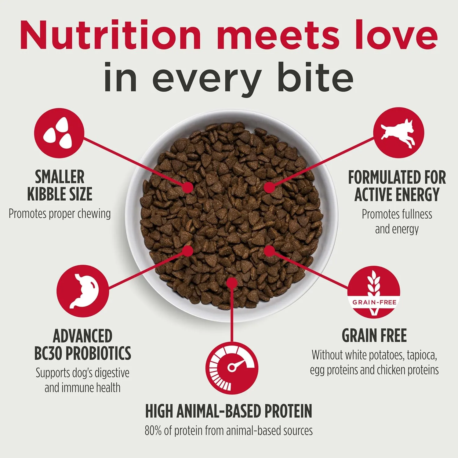Nulo Freestyle Small Breed Dog Food, Premium Adult and Puppy Grain-Free Dry Smaller Sized Kibble Food, with BC30 Probiotic for Healthy Digestion Support, 6 Pound (Pack of 1)