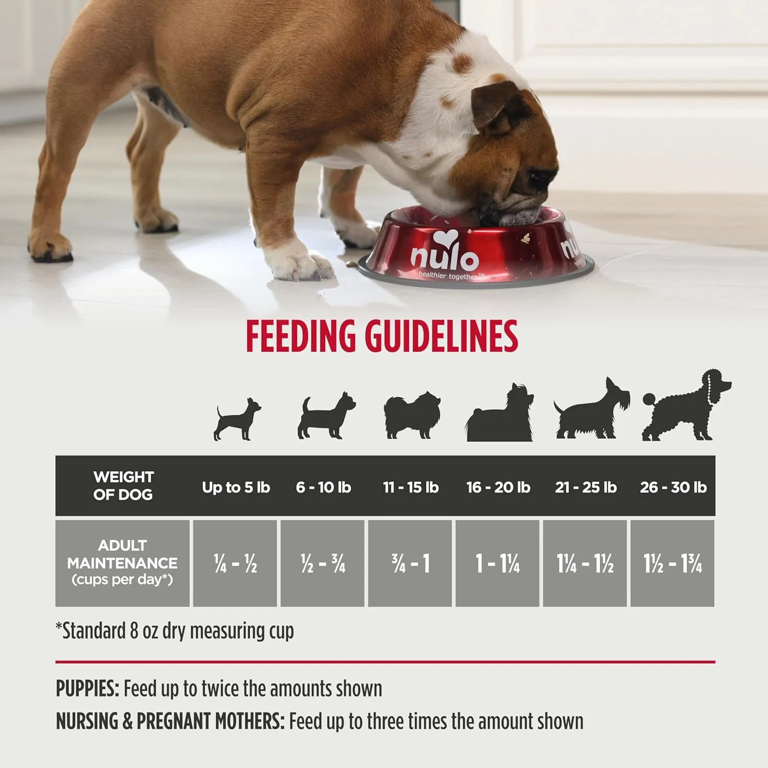 Nulo Frontrunner Small Breed Dry Dog Food, Premium Ancient Grain Small Kibble for Proper Chewing with Taurine for Heart Health and Probiotics for Digestive Support 14 Pound (Pack of 1)