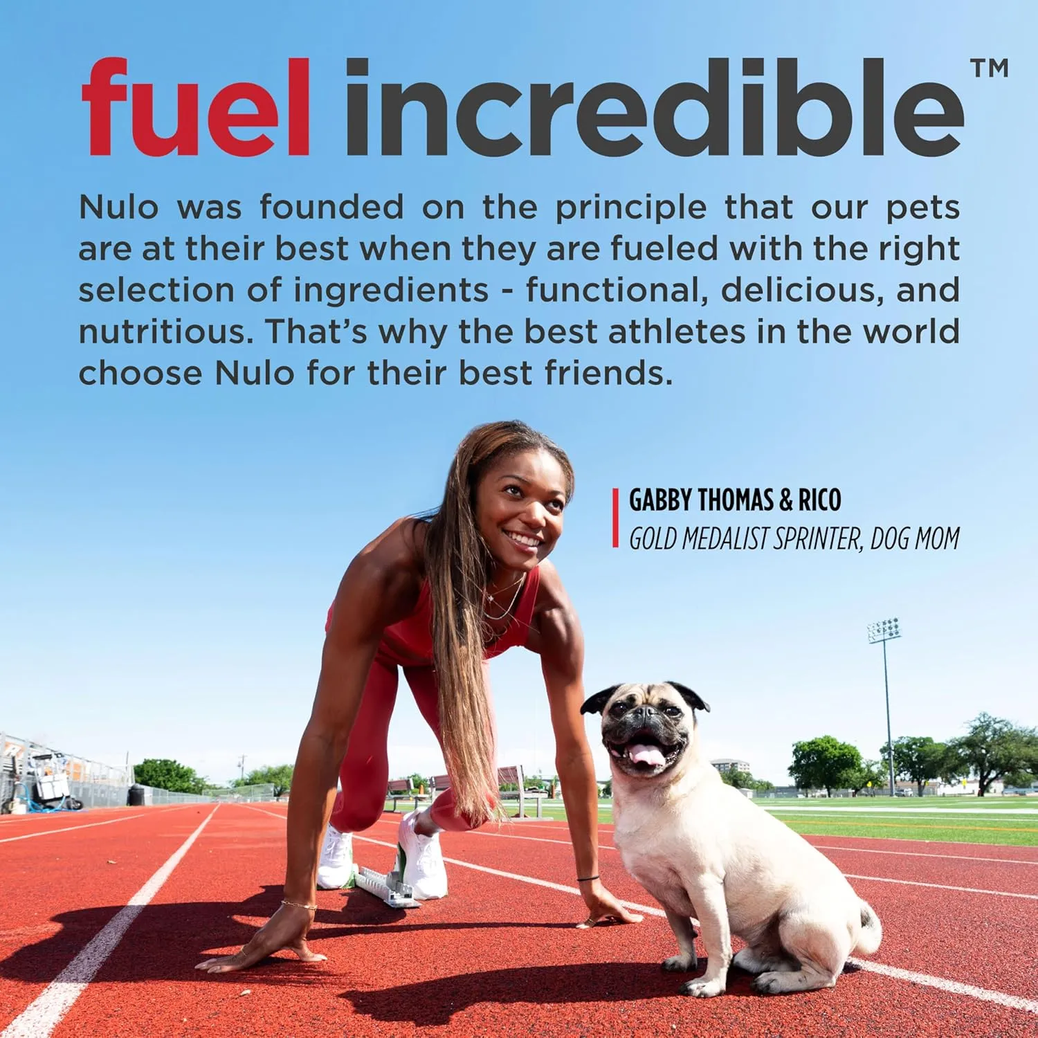 Nulo Frontrunner Small Breed Dry Dog Food, Premium Ancient Grain Small Kibble for Proper Chewing with Taurine for Heart Health and Probiotics for Digestive Support 14 Pound (Pack of 1)
