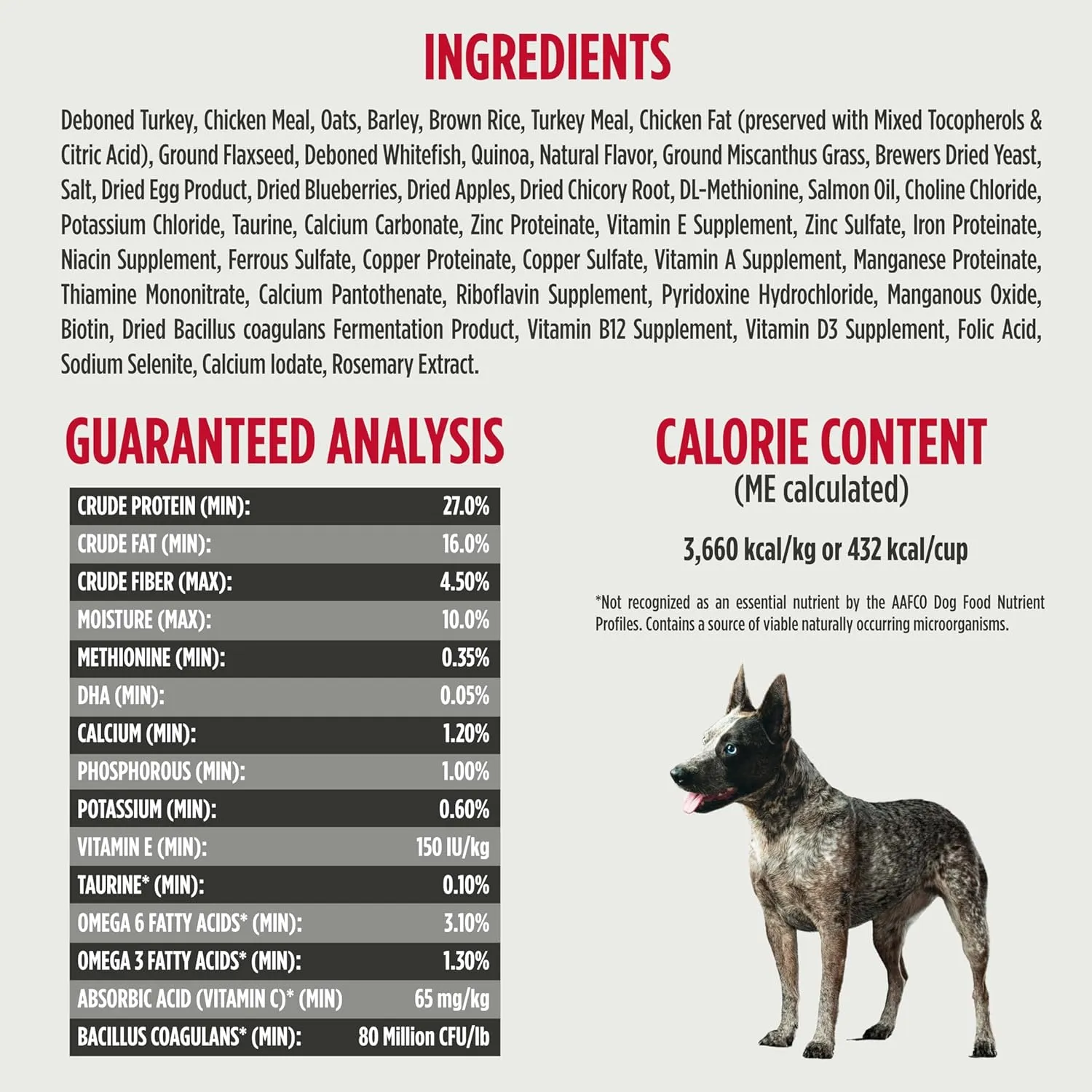 Nulo Frontrunner Small Breed Dry Dog Food, Premium Ancient Grain Small Kibble for Proper Chewing with Taurine for Heart Health and Probiotics for Digestive Support 14 Pound (Pack of 1)