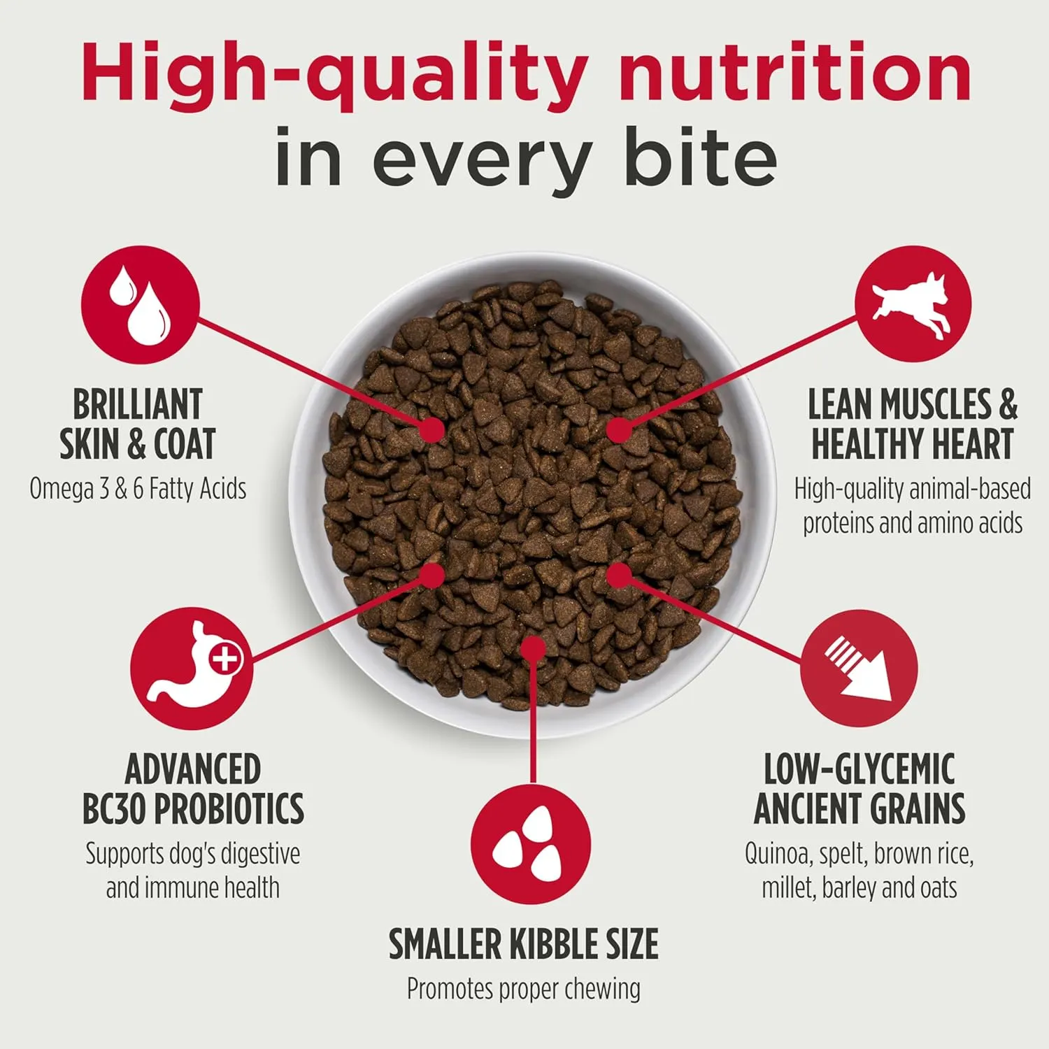 Nulo Frontrunner Small Breed Dry Dog Food, Premium Ancient Grain Small Kibble for Proper Chewing with Taurine for Heart Health and Probiotics for Digestive Support 14 Pound (Pack of 1)
