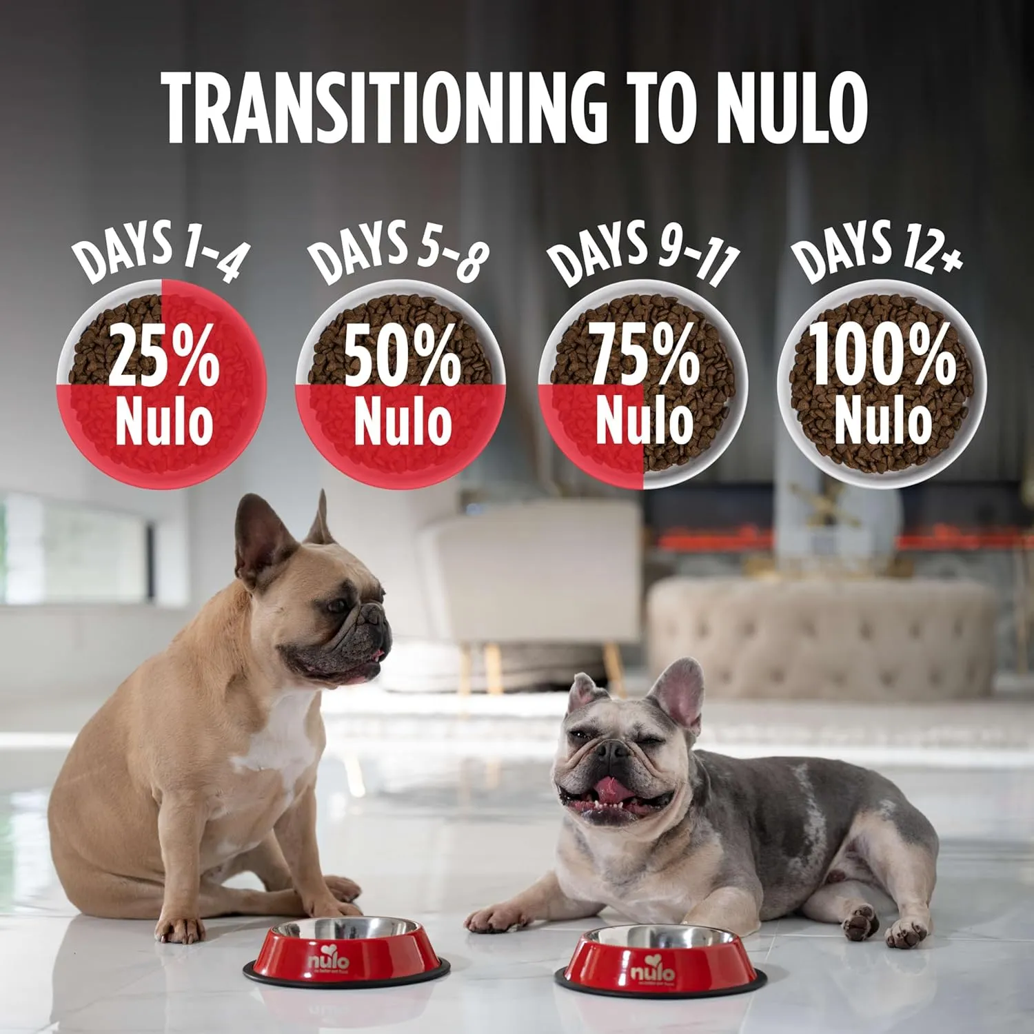 Nulo Frontrunner Small Breed Dry Dog Food, Premium Ancient Grain Small Kibble for Proper Chewing with Taurine for Heart Health and Probiotics for Digestive Support 14 Pound (Pack of 1)