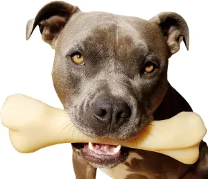 Nylabone Monster Bone Power Chew Toy for Dogs, Dog Toys for Aggressive Chewers, Chicken Flavor, XX-Large - 50   lbs, 1 Count