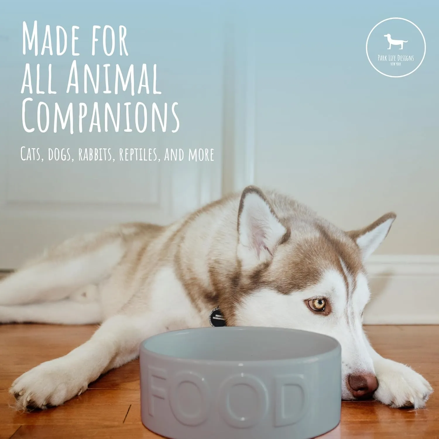 Park Life Ceramic Pet Bowls – Food Water Bowls for Dogs and Cats - Cute Pet Bowl for Small Medium and Large Size Dogs and Cats - Puppy Bowls (Large, Grey)