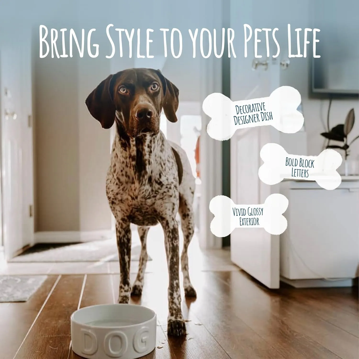 Park Life Ceramic Pet Bowls – Food Water Bowls for Dogs and Cats - Cute Pet Bowl for Small Medium and Large Size Dogs and Cats - Puppy Bowls (Large, Grey)