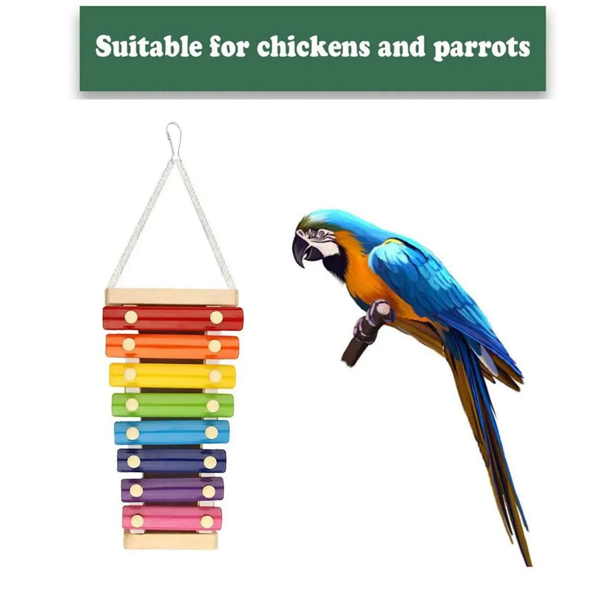 Parrot Entertainment Center with Chicken Rattle Piano Bird Play Toys 7 Tones