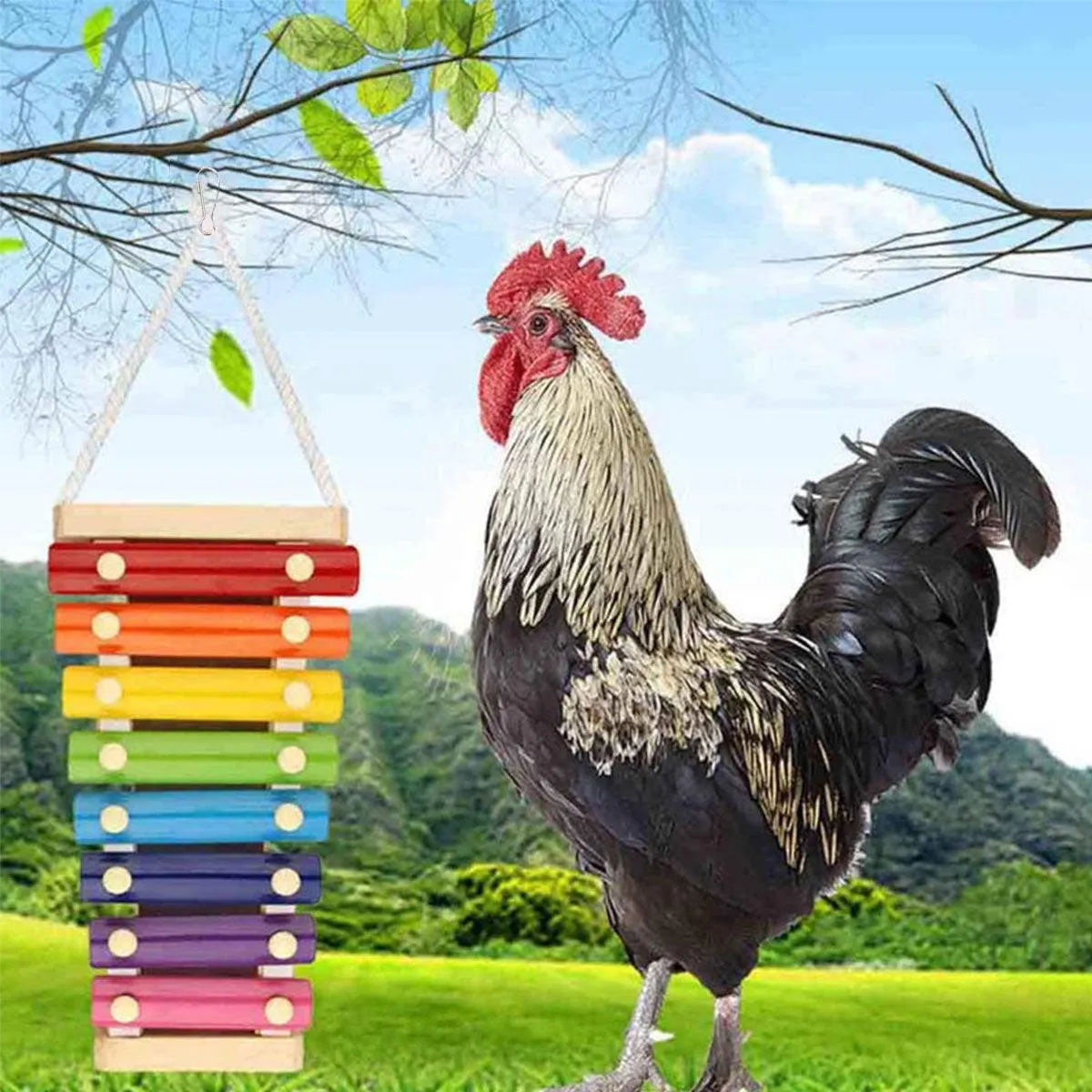 Parrot Entertainment Center with Chicken Rattle Piano Bird Play Toys 7 Tones