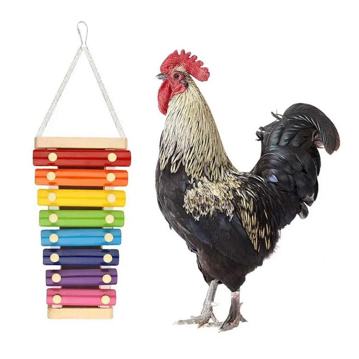Parrot Entertainment Center with Chicken Rattle Piano Bird Play Toys 7 Tones
