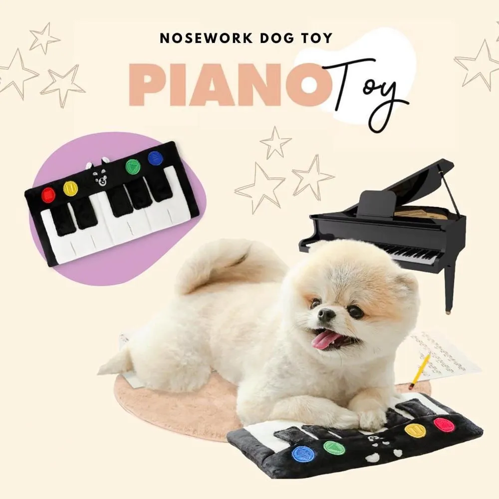 Piano Squeaky Dog Toys