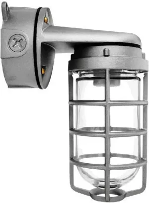 RAB Lighting VXBR100DG Vaporproof VXBR 4" Wall Bracket with Glass Globe and Cast Guard, A19 Type, Aluminum, 150W Power, 1/2" Hub, Natural