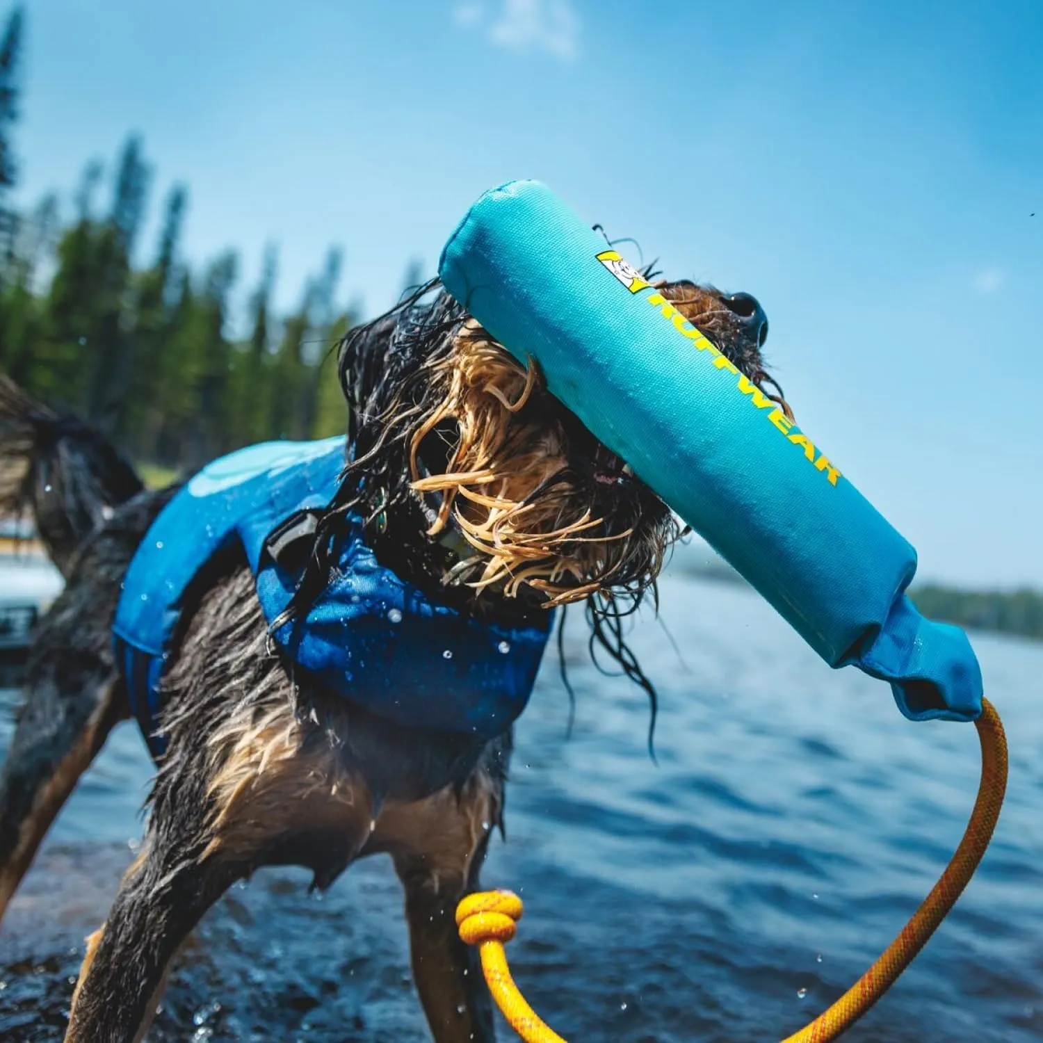 Ruffwear Lunker Throw Toy for Dogs – Durable, Soft Fabric Toy with Rope Handle for Fetch and Tug on Land & Water, Biolumin Blue, Medium