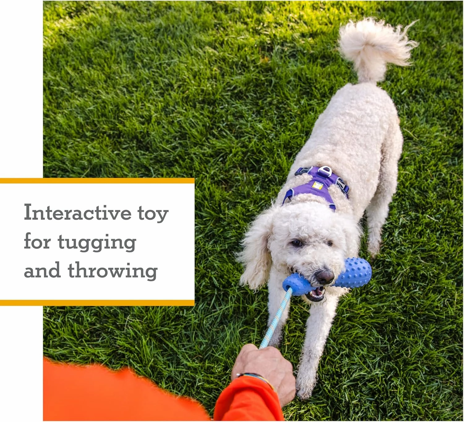 Ruffwear, Gourdo Natural Rubber Throw Toy for Dogs with Rope Handle, Campfire Orange, Large