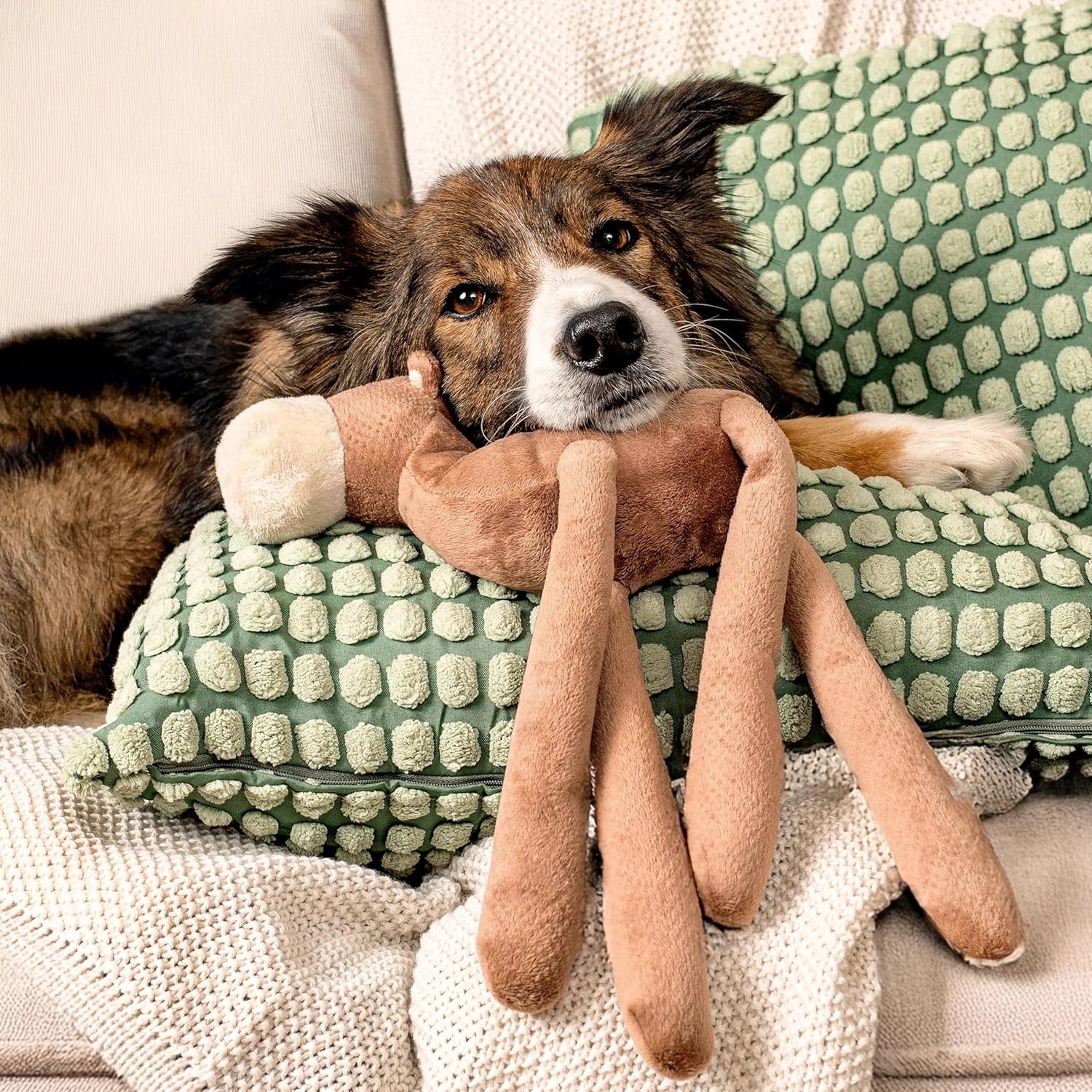 Savanna Collection Dog Toys | Jumbo Sized Calvin The Camel | Cute, Durable, & Sustainable Plush Chew Toys for Dogs 50 lbs & up | Eco Friendly & 100% Recycled Materials