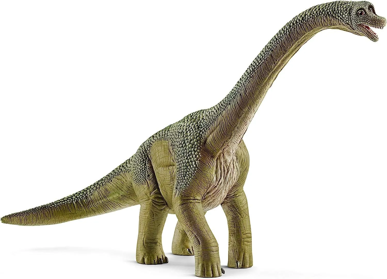 schleich DINOSAURS — Brachiosaurus, Detailed and Durable Dinosaur Toy, Educational and Fun Brachiosaurus Toy for Boys and Girls Ages 4 , Green