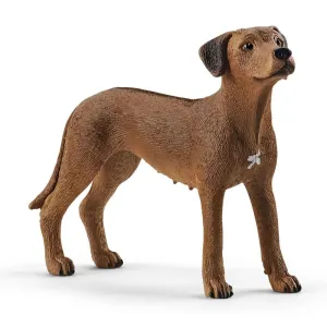 Schleich - Rhodesian Ridgeback